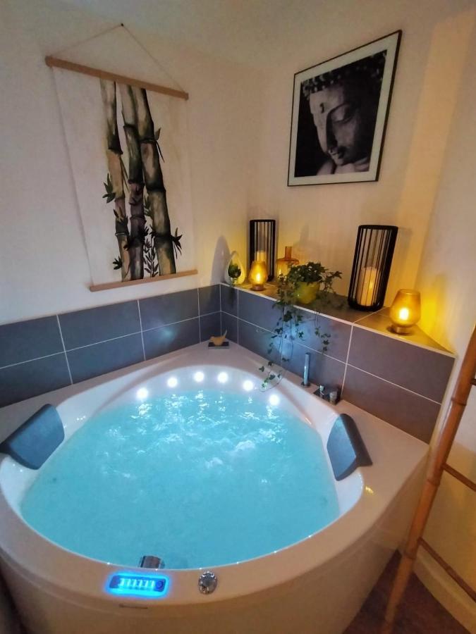 L'Ile De La Breche Apartment Niort Bagian luar foto